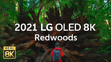 【8K超清测试视频】【LG电视2021年最新 OLED HDR 8K超高清 红树林】【MKV/340M/1.5分钟/城通/夸克合集】