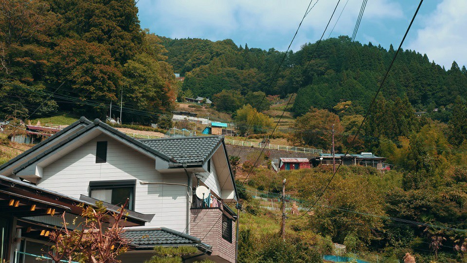 【日本三大秘境】祖谷の秘境とかずら橋 - A Hidden Scenic Place in Tokushima（Tokushima, Japan） [2160p50]30