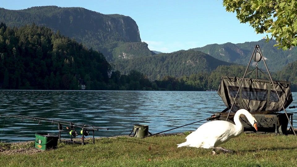 斯洛文尼亚 翡翠冰湖 布莱德湖Lake Bled 4K超清风景视频下载