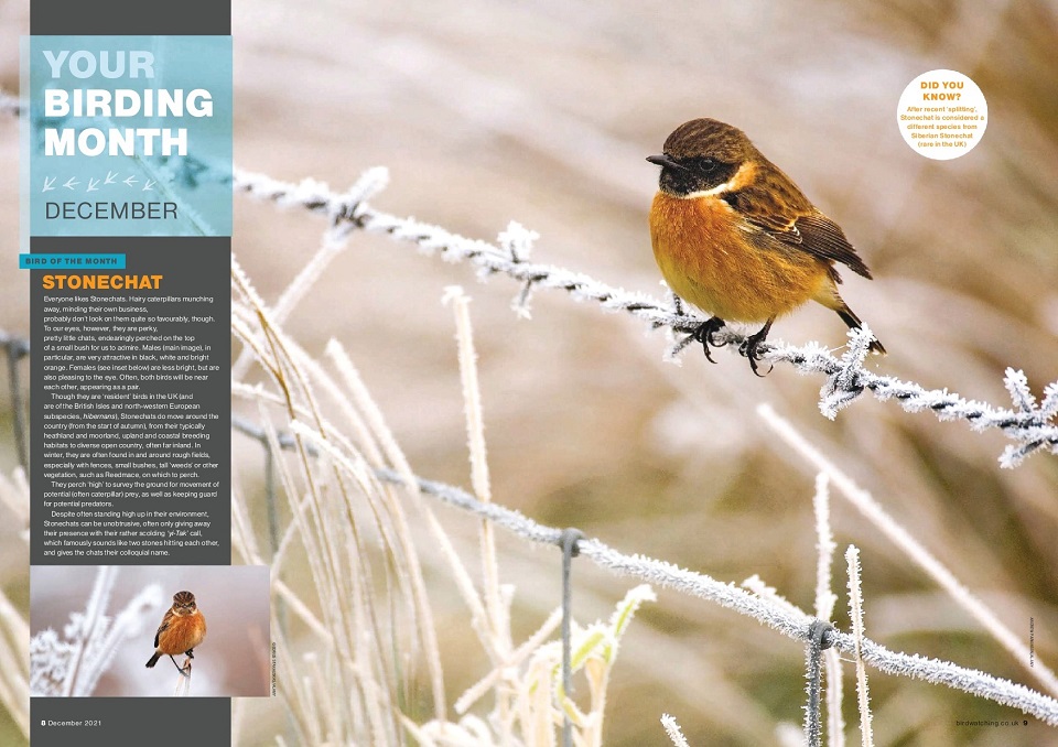 英国知名自然杂志《Bird Watching（观鸟）》PDF下载