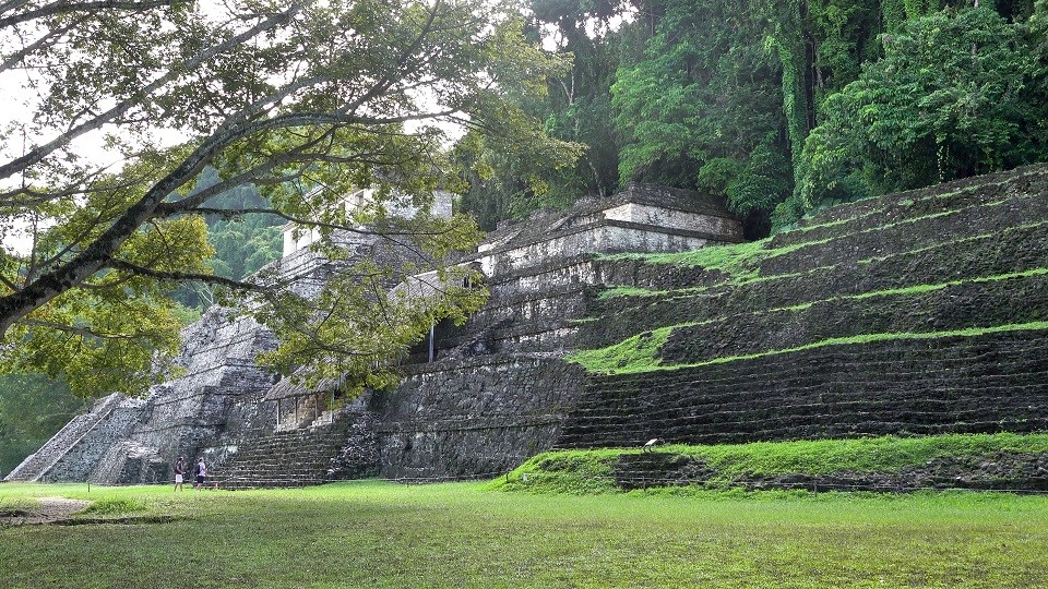 墨西哥雨林遗迹 玛雅古城帕伦克Palenque4K超清风景纪录片下载