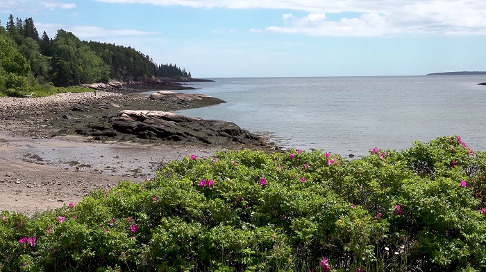 美国缅因州 阿卡迪亚国家公园 Acadia National Park Maine 4K超清风景纪录视频下载