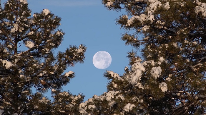 美国犹他州 布莱斯峡谷国家公园雪景4K超清风景视频下载